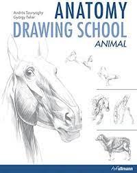 Anatomy drawing school : animal